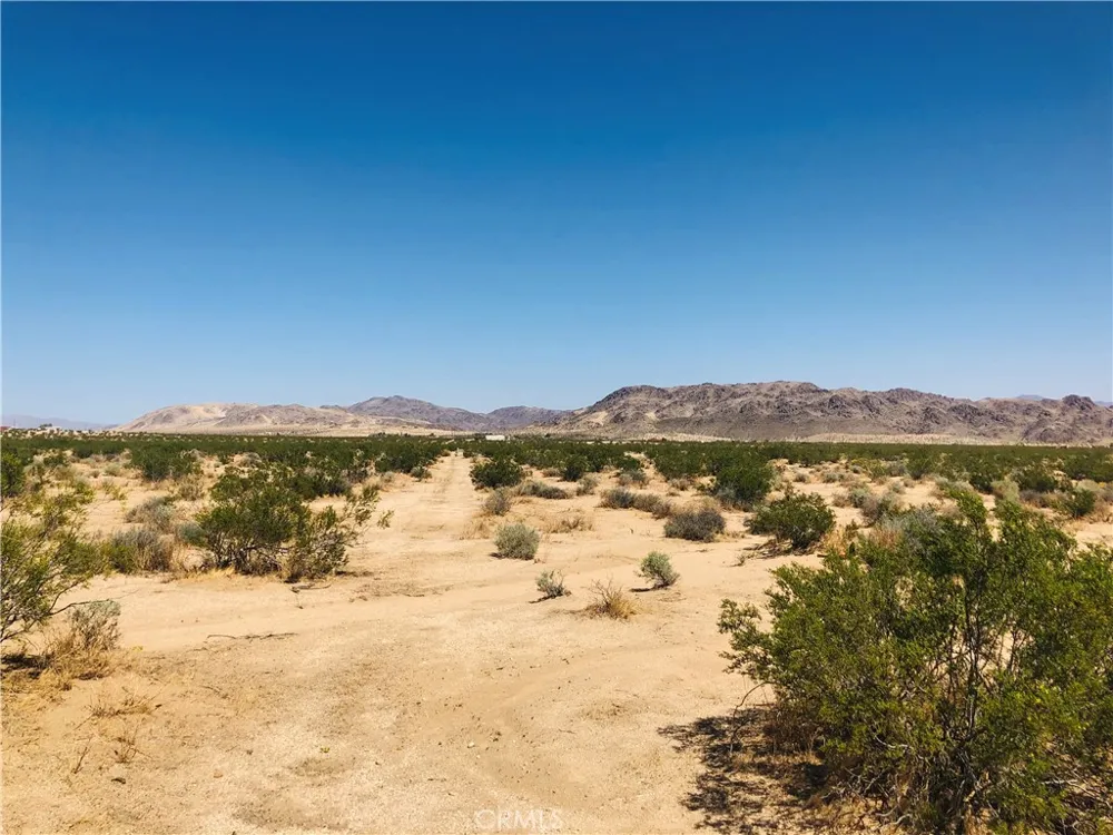 Near Dusty Mile Road Landers, CA 92285