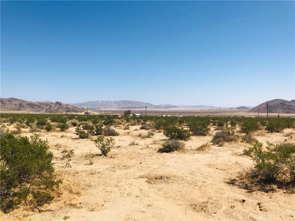 Near Dusty Mile Road Landers, CA 92285