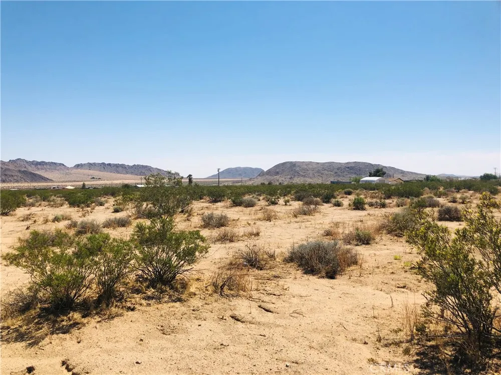 Near Dusty Mile Road Landers, CA 92285