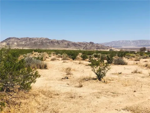 Near Dusty Mile Road