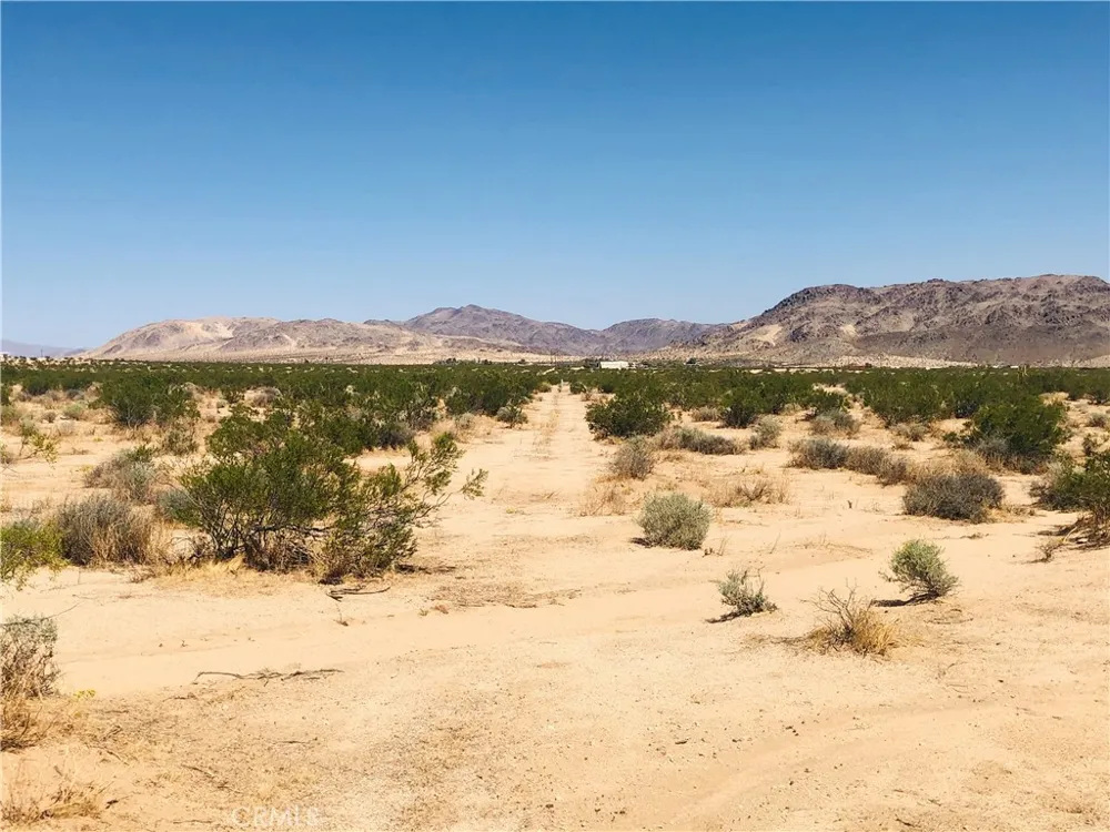 Near Dusty Mile Road Landers, CA 92285