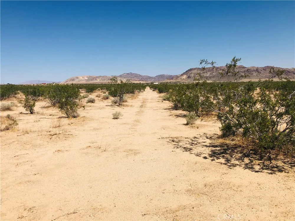 Near Dusty Mile Road Landers, CA 92285