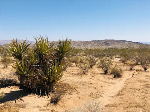 2 Geronimo Trail