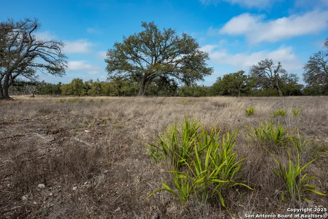 0 Fiedler Rd Off S Ranch Rd 783 Harper, TX 78631