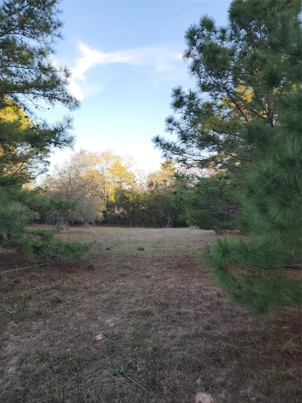 Fm-3283 Hallettsville, TX 77964