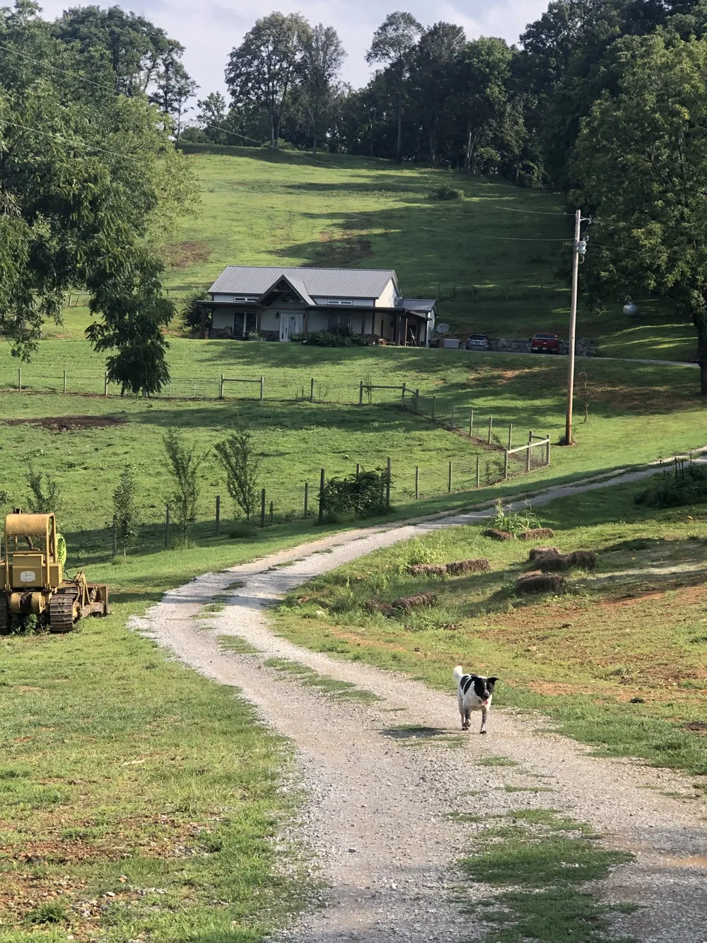 1302 Coosie Branch Rd