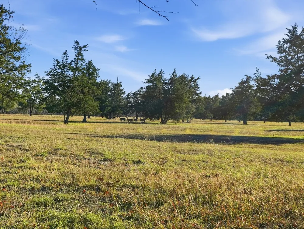 1123 Dunn Street Yoakum, TX 77995