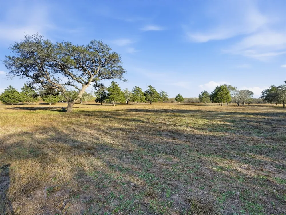 1123 Dunn Street Yoakum, TX 77995