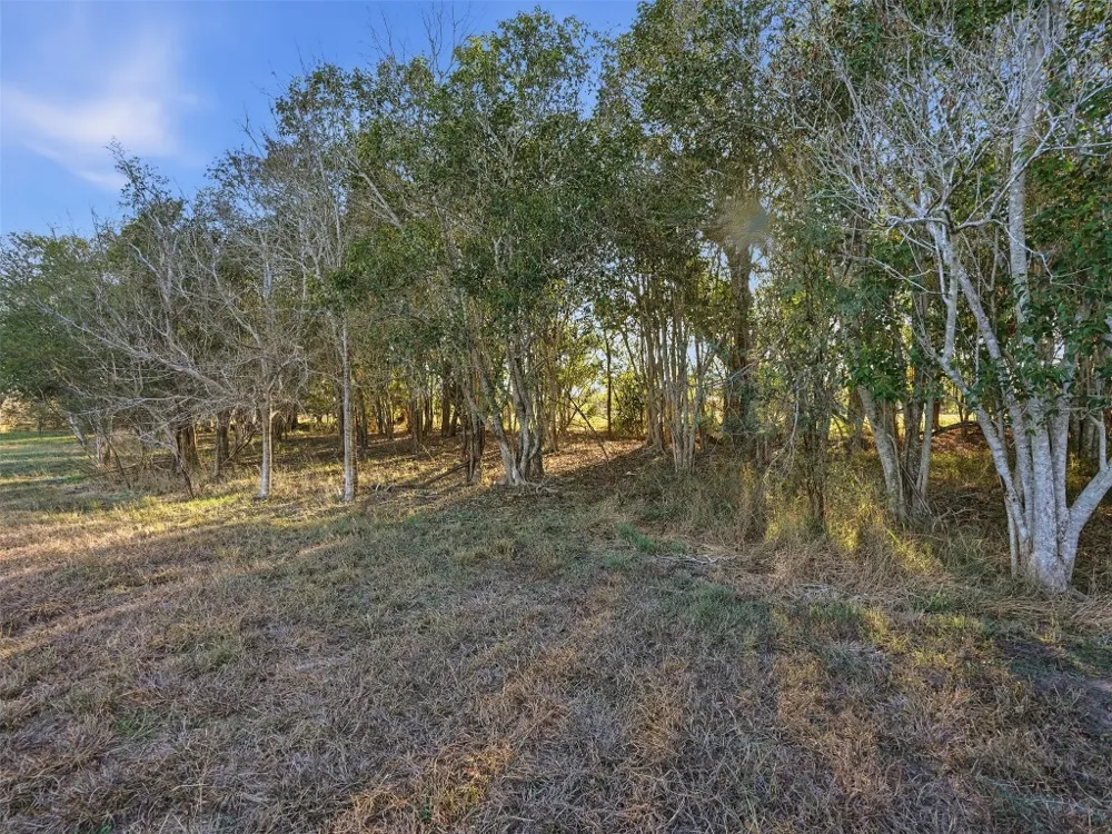1123 Dunn Street Yoakum, TX 77995