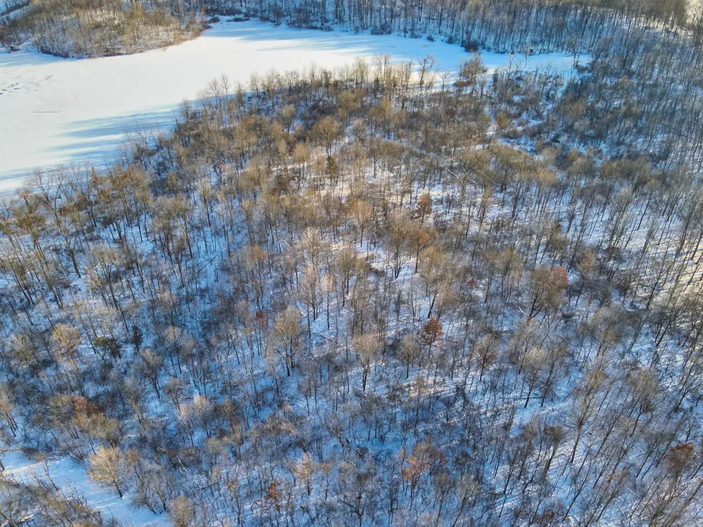 W US-12 Highway Manchester, MI 48158