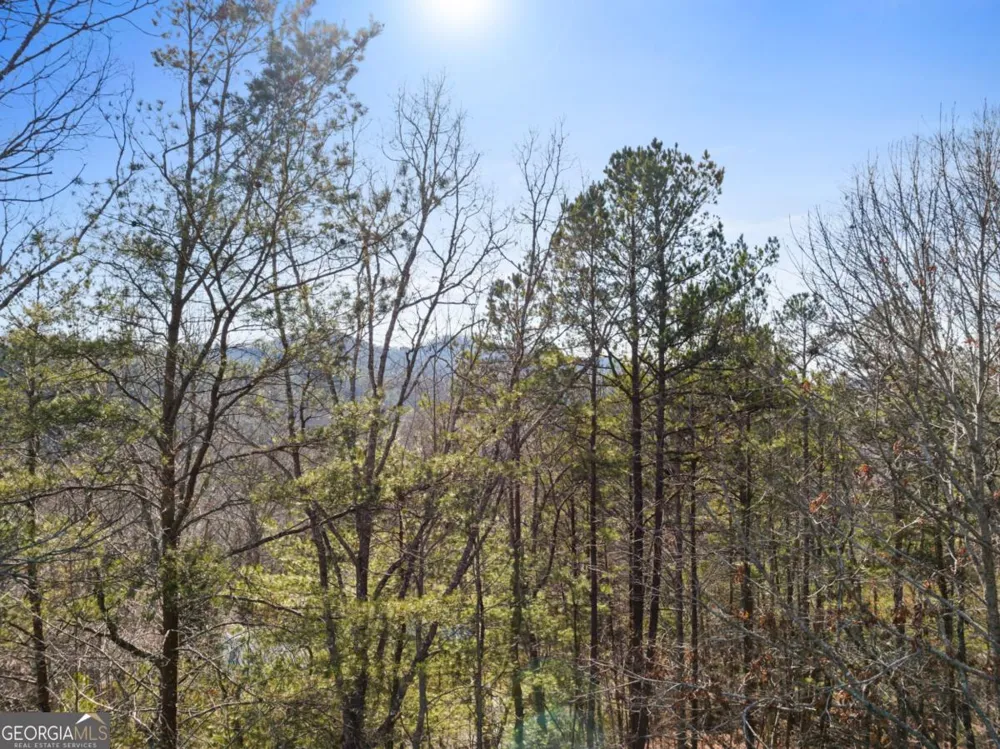 1140 Knollwood RD Mineral Bluff, GA 30559