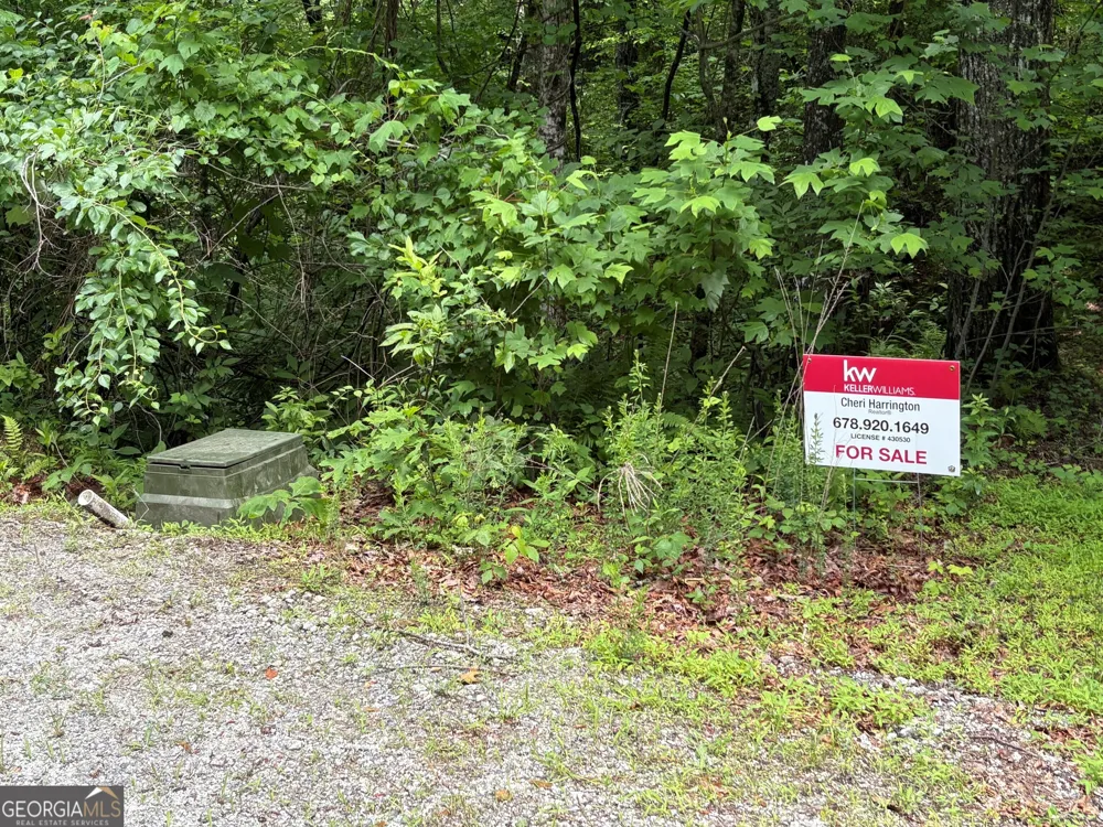 0 Alto LN Rabun Gap, GA 30568