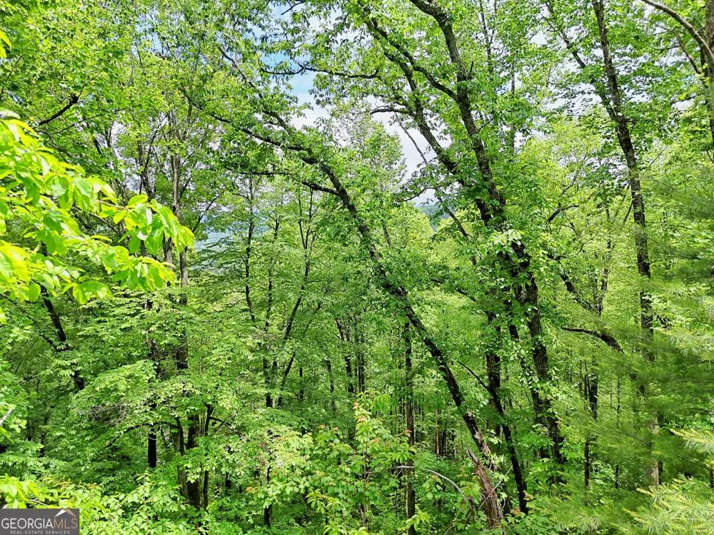 0 Alto LN Rabun Gap, GA 30568