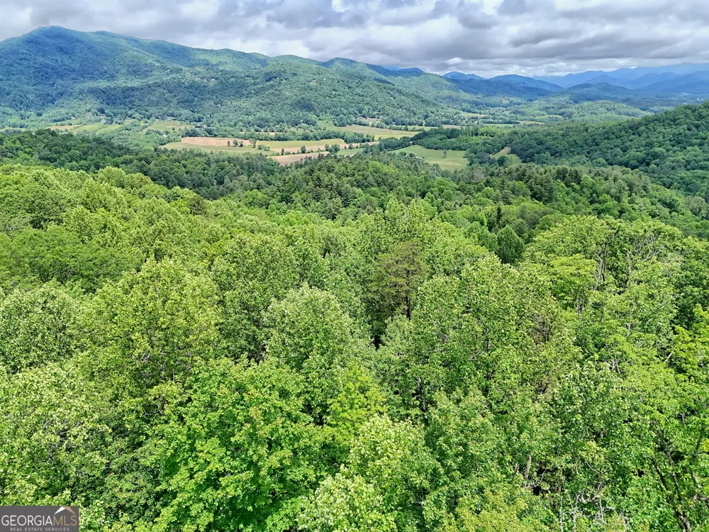 0 Alto LN Rabun Gap, GA 30568