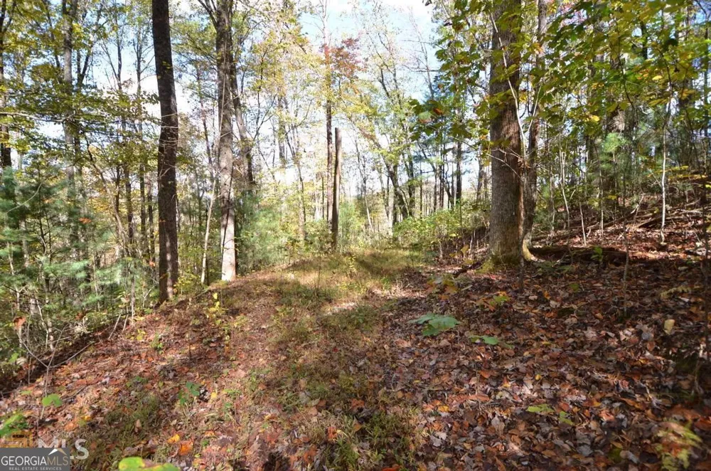 0 Alto LN Rabun Gap, GA 30568