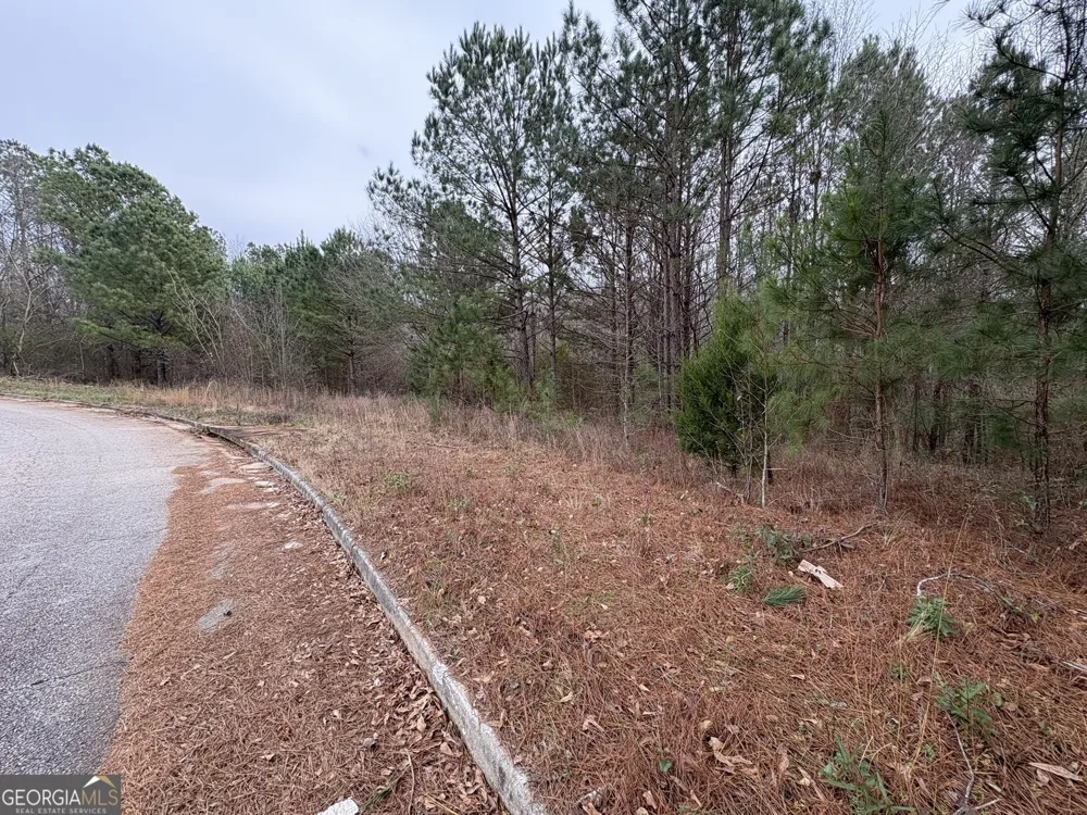 125 Cardell Farms RD Locust Grove, GA 30248