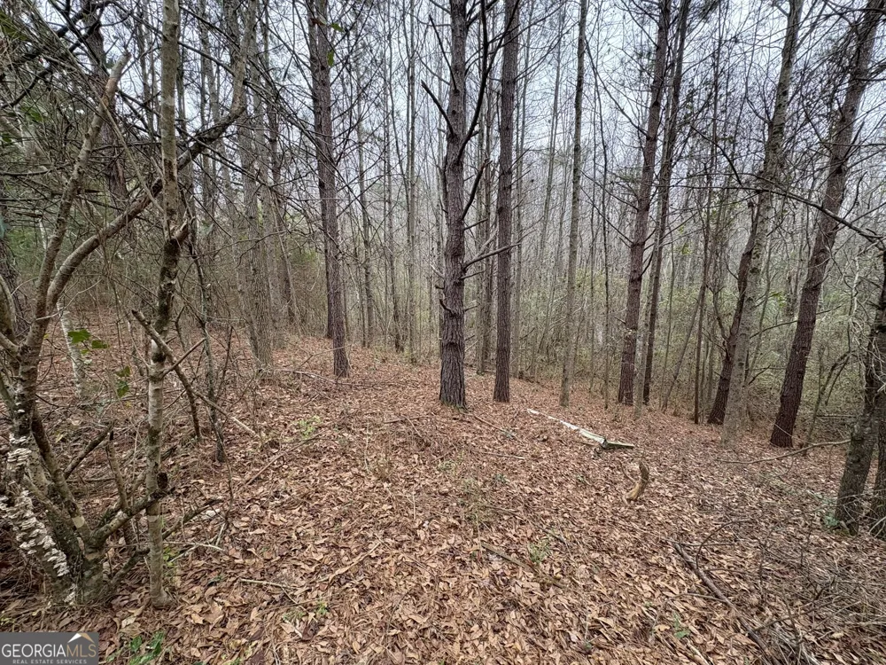 125 Cardell Farms RD Locust Grove, GA 30248