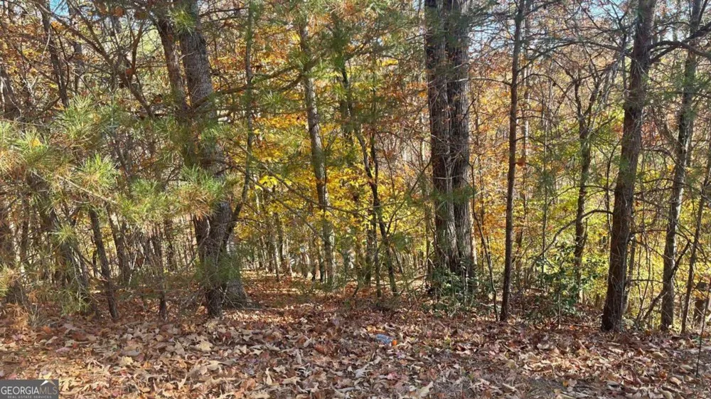 0 Hyalite RD W Dahlonega, GA 30533