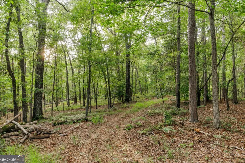 706 Sam Bruce RD Royston, GA 30662