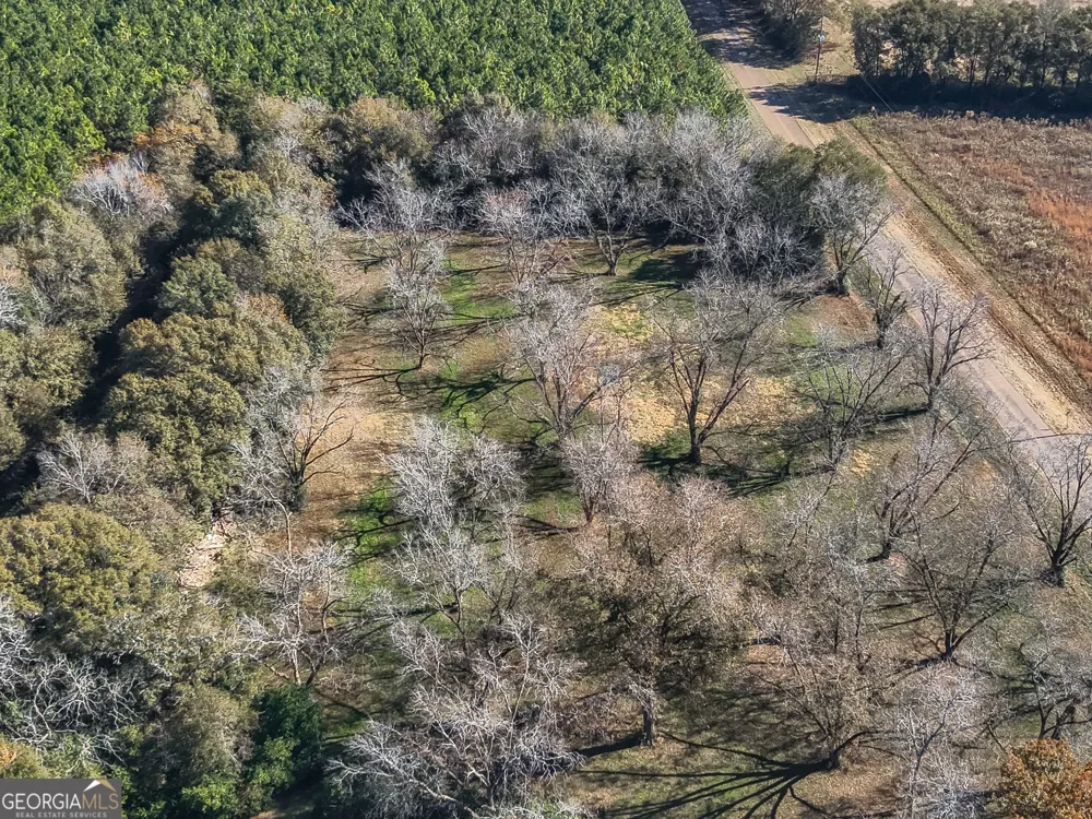 720 Wise RD Plains, GA 31780