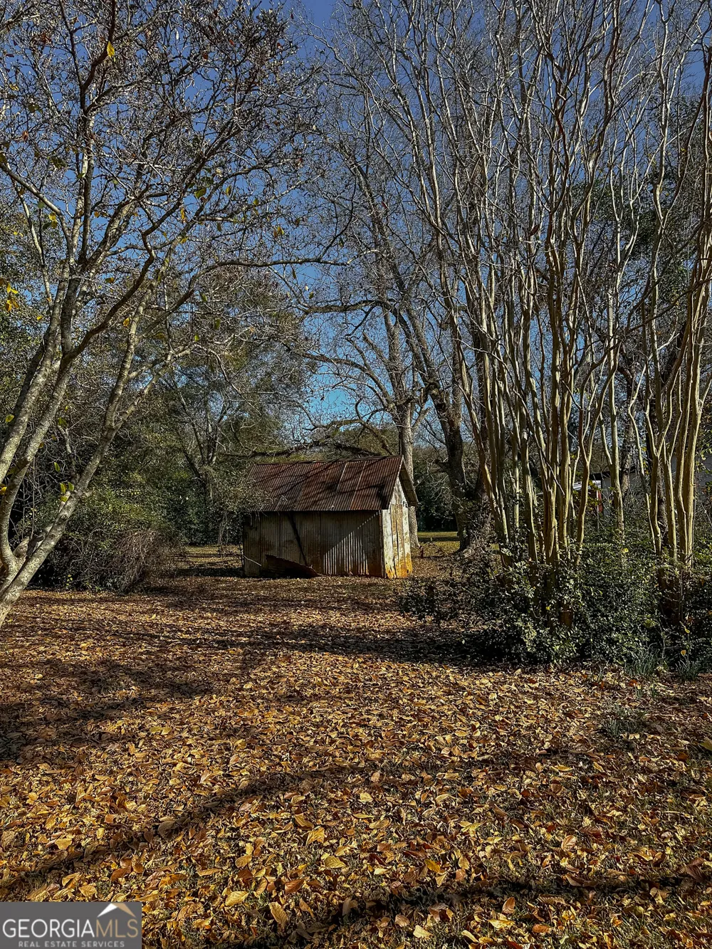 720 Wise RD Plains, GA 31780