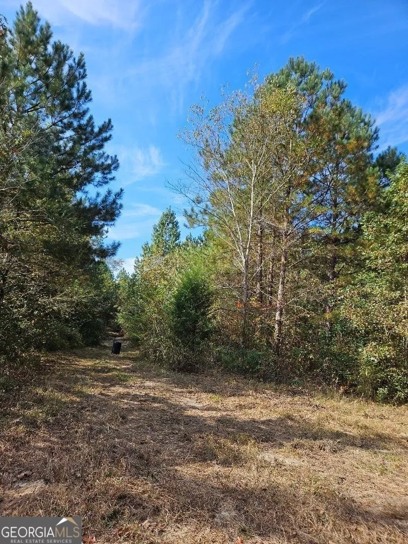 0 Fruit Farm RD Summerville, GA 30747