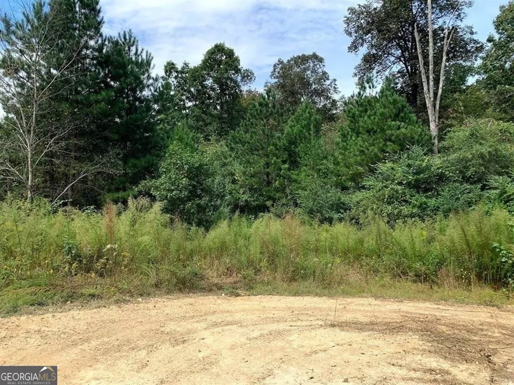 0 Fruit Farm RD Summerville, GA 30747