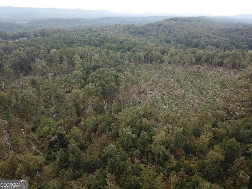 0 Fruit Farm RD Summerville, GA 30747