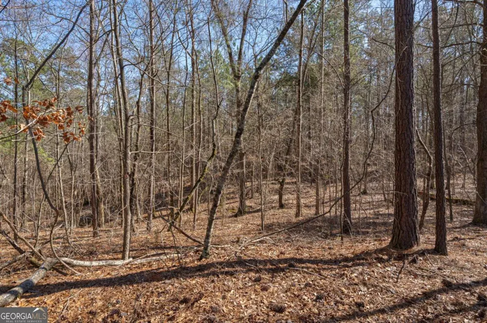 0 Kent Rock RD Loganville, GA 30052
