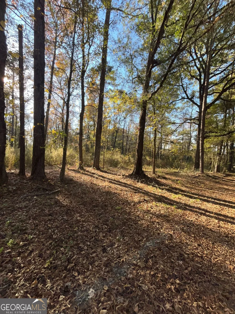 0 Oak LN Madison, GA 30650