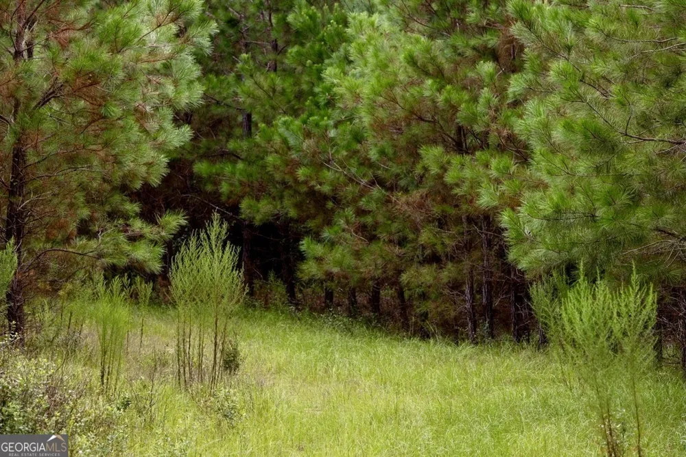 0 Les Smith RD Ellaville, GA 31806