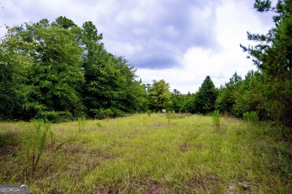 0 Les Smith RD Ellaville, GA 31806