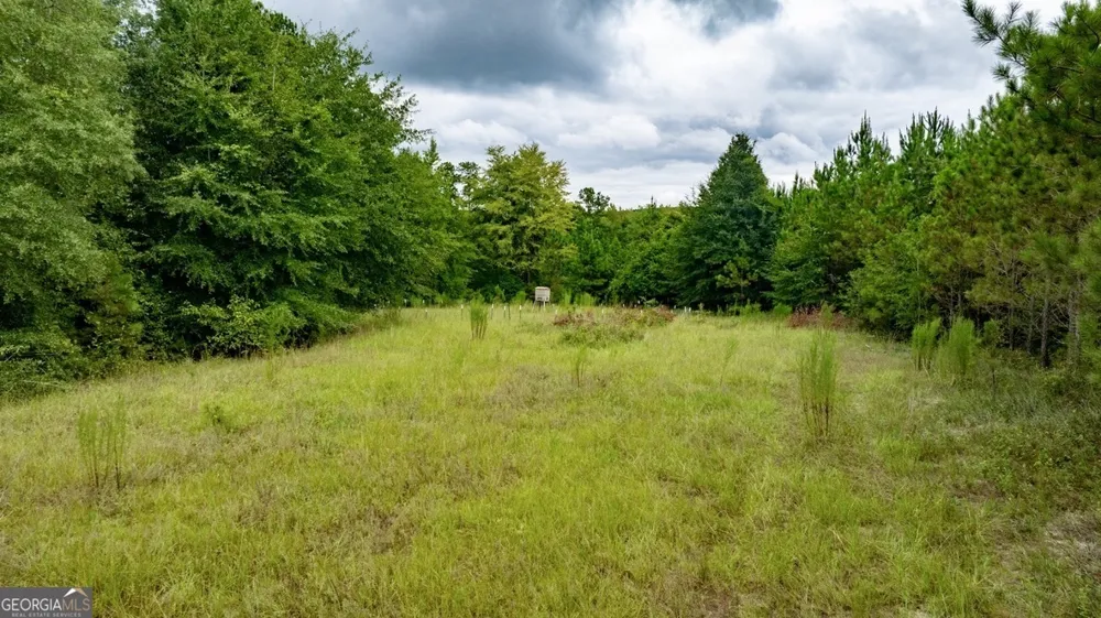 0 Les Smith RD Ellaville, GA 31806
