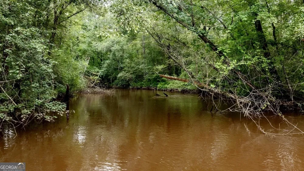 0 Les Smith RD Ellaville, GA 31806