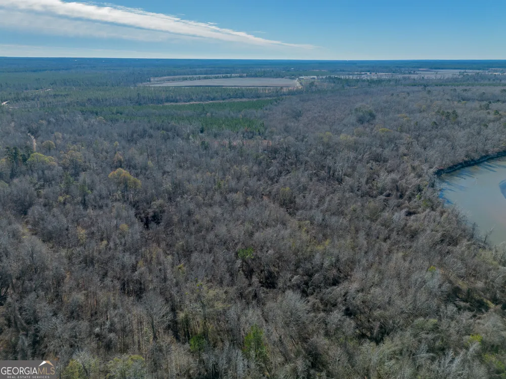 0 Oconee River, Bells Ferry Highway Lumber City, GA 31549