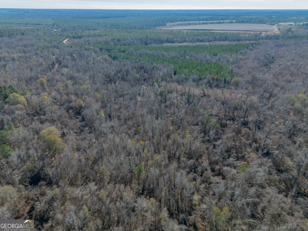0 Oconee River, Bells Ferry Highway Lumber City, GA 31549