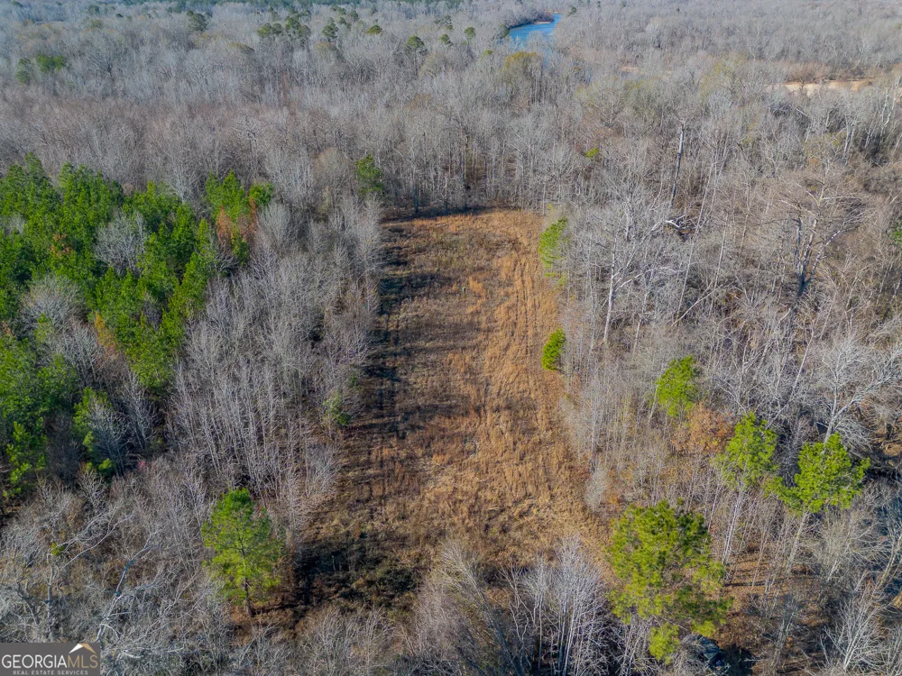0 Oconee River, Bells Ferry Highway Lumber City, GA 31549