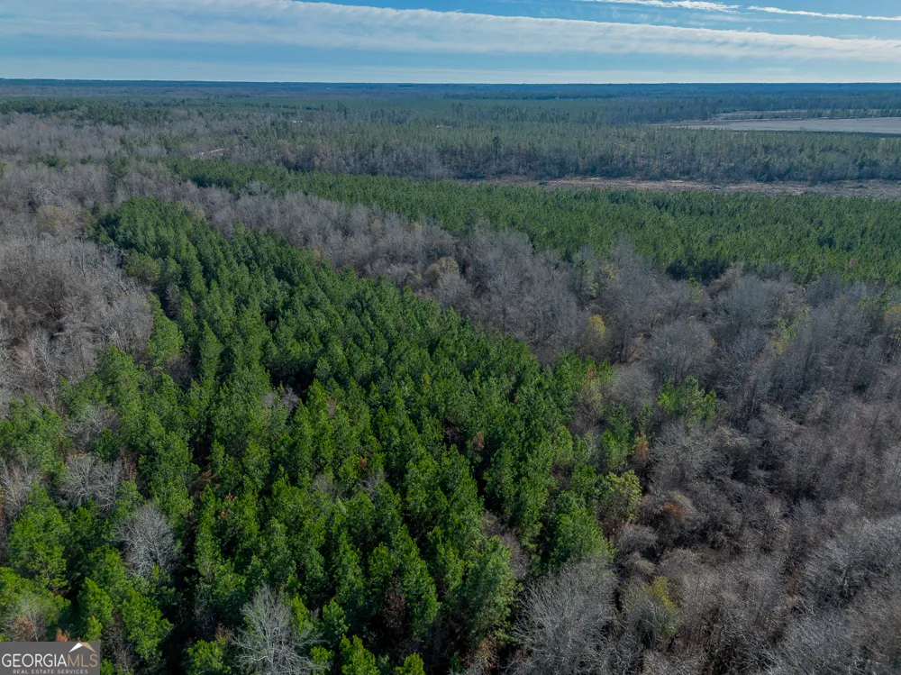 0 Oconee River, Bells Ferry Highway Lumber City, GA 31549