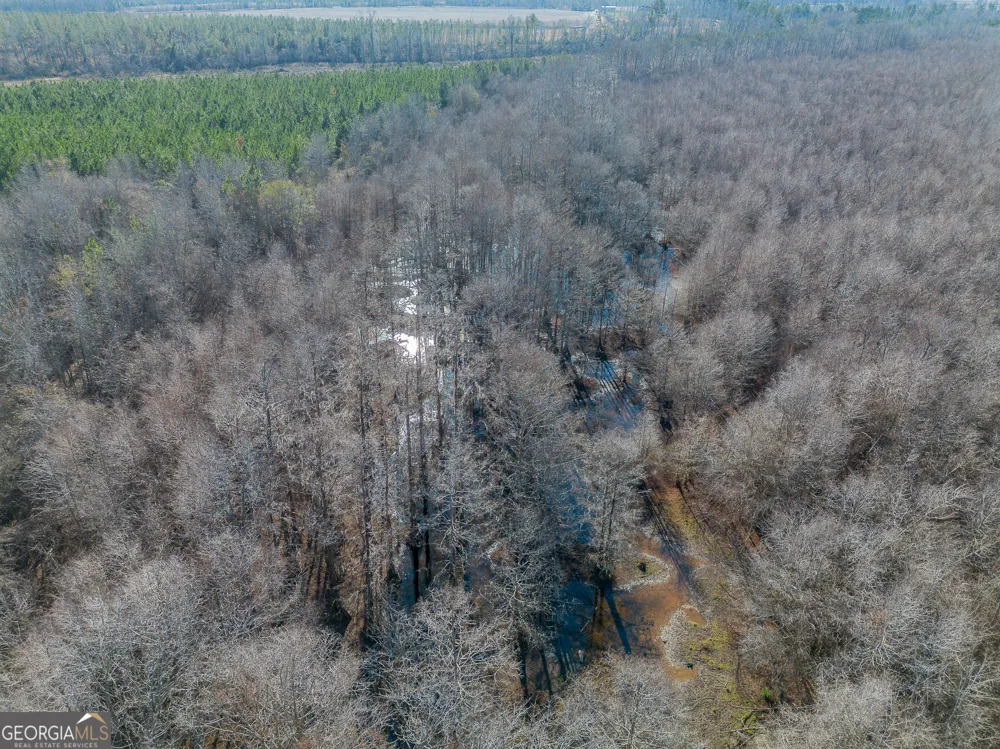 0 Oconee River, Bells Ferry Highway Lumber City, GA 31549