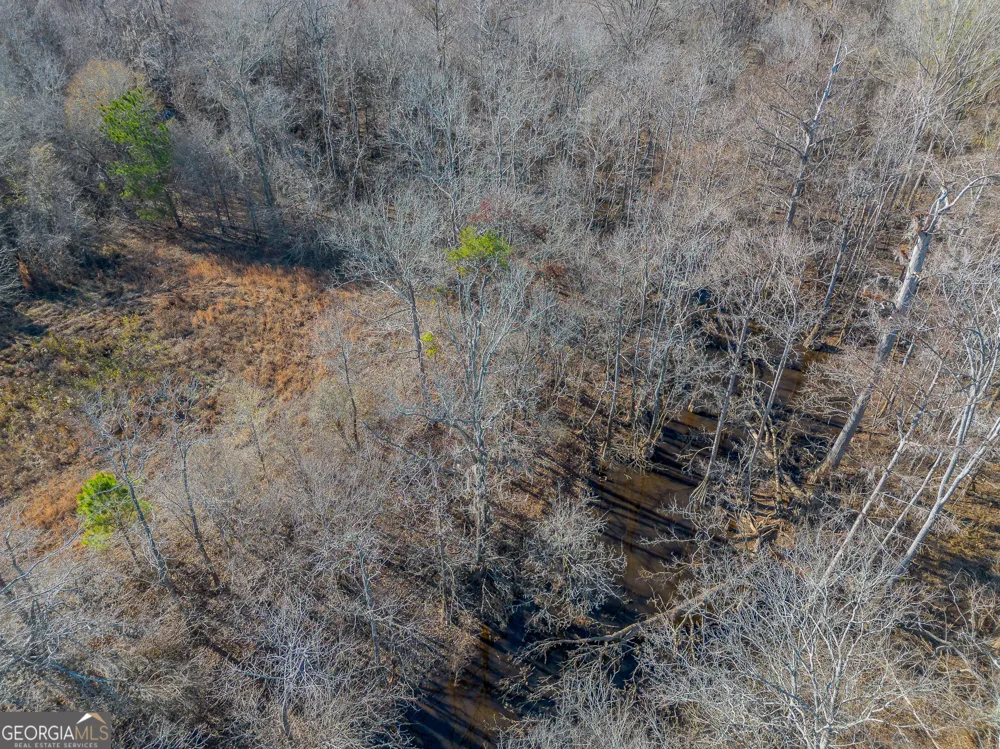 0 Oconee River, Bells Ferry Highway Lumber City, GA 31549
