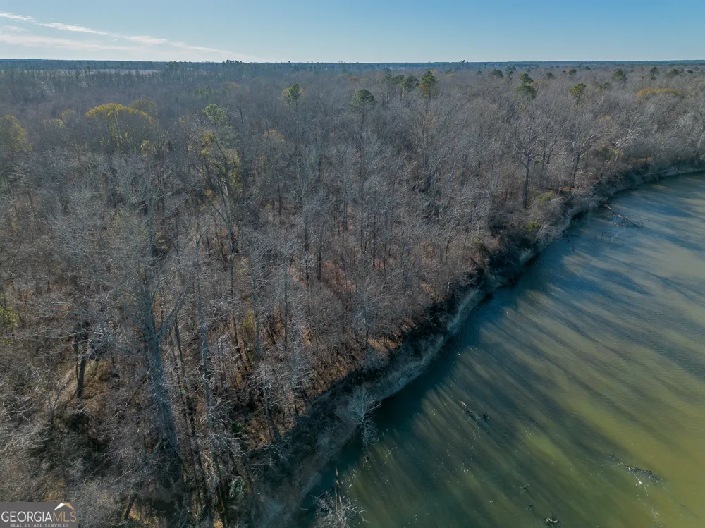 0 Oconee River, Bells Ferry Highway Lumber City, GA 31549