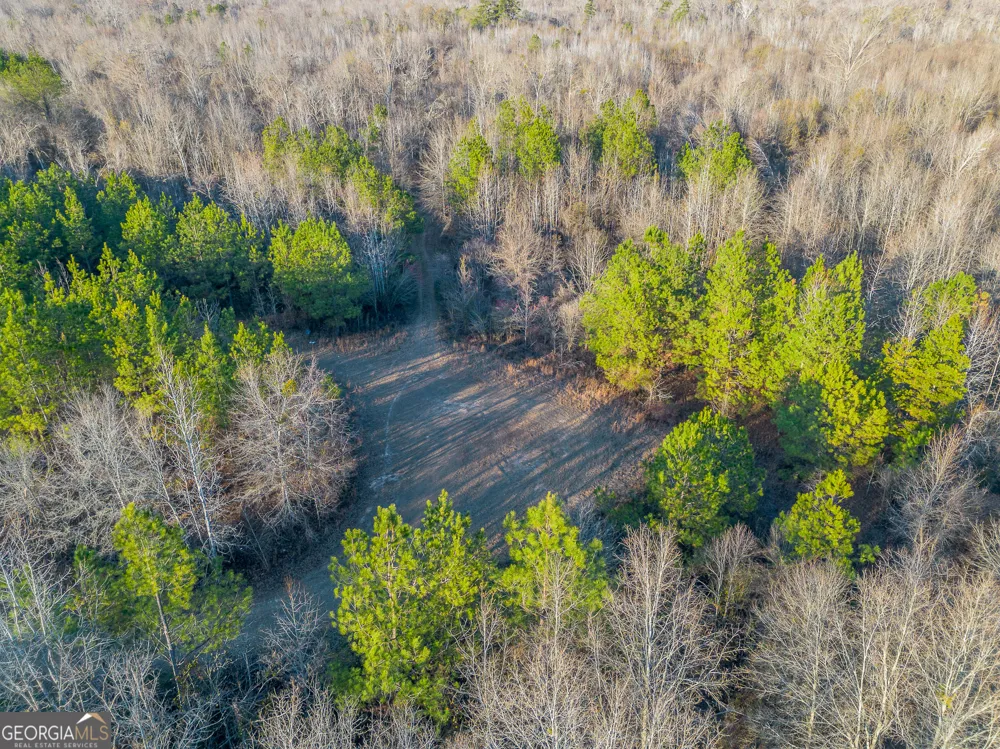 0 Oconee River, Bells Ferry Highway Lumber City, GA 31549