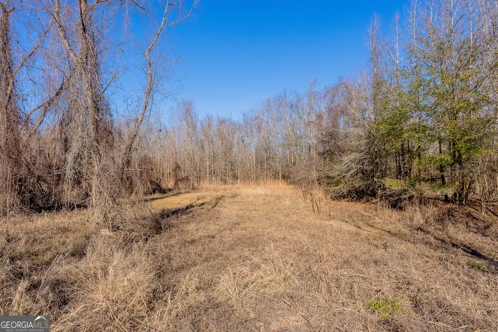 0 Oconee River, Bells Ferry Highway Lumber City, GA 31549