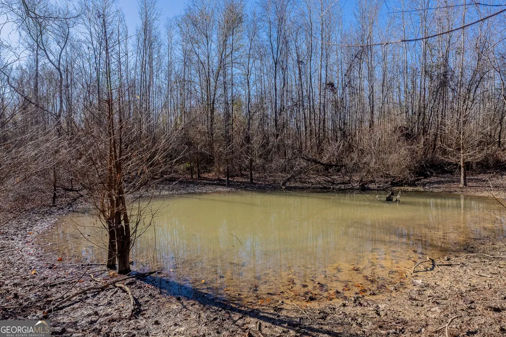 0 Oconee River, Bells Ferry Highway Lumber City, GA 31549