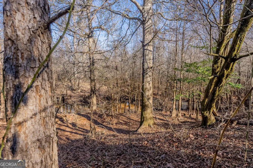 0 Oconee River, Bells Ferry Highway Lumber City, GA 31549