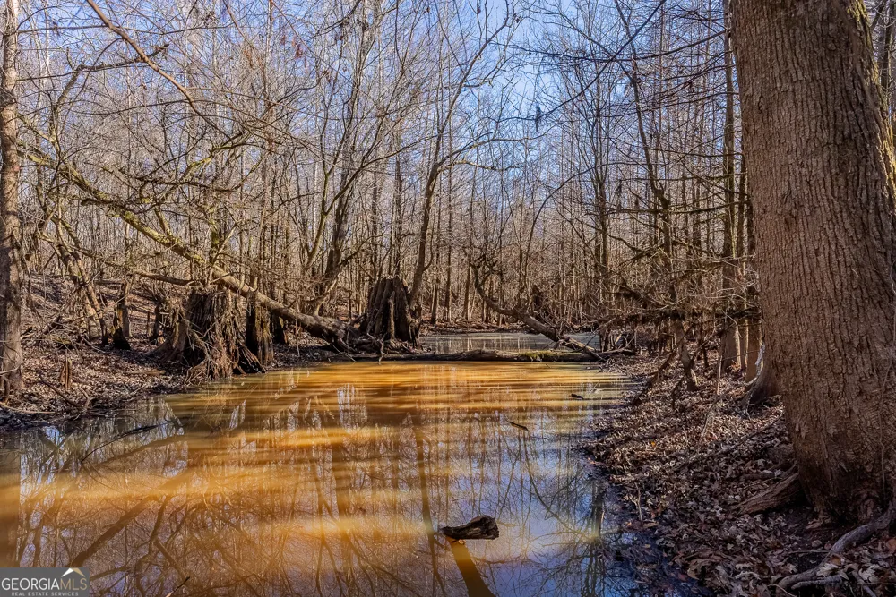 0 Oconee River, Bells Ferry Highway Lumber City, GA 31549