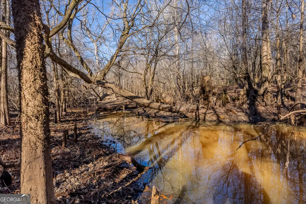 0 Oconee River, Bells Ferry Highway Lumber City, GA 31549