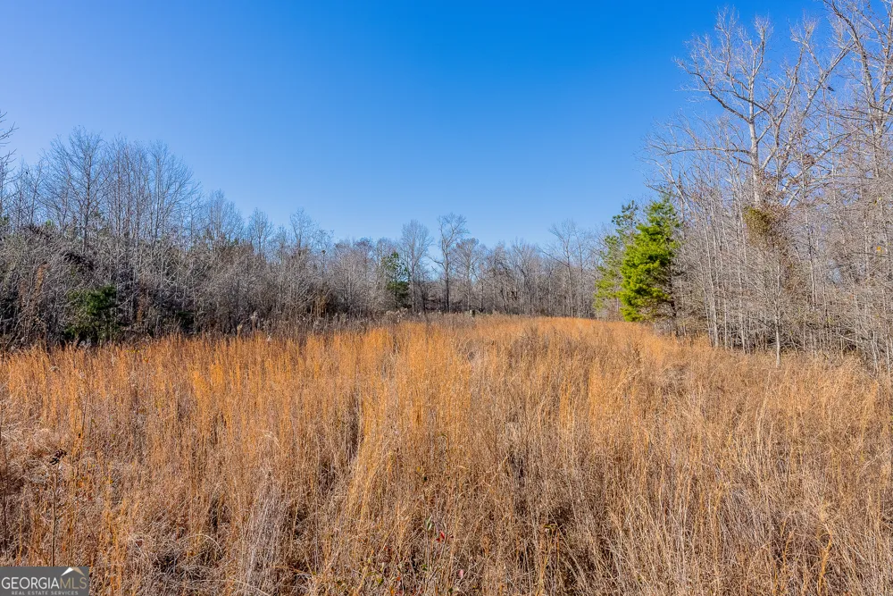 0 Oconee River, Bells Ferry Highway Lumber City, GA 31549