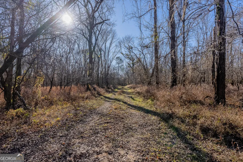 0 Oconee River, Bells Ferry Highway Lumber City, GA 31549