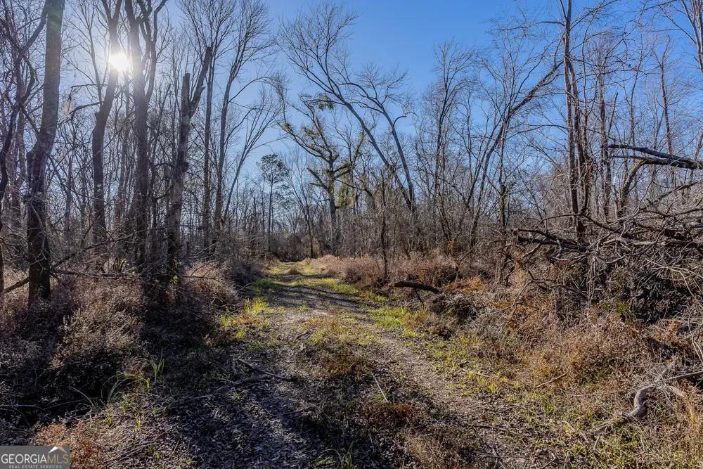 0 Oconee River, Bells Ferry Highway Lumber City, GA 31549